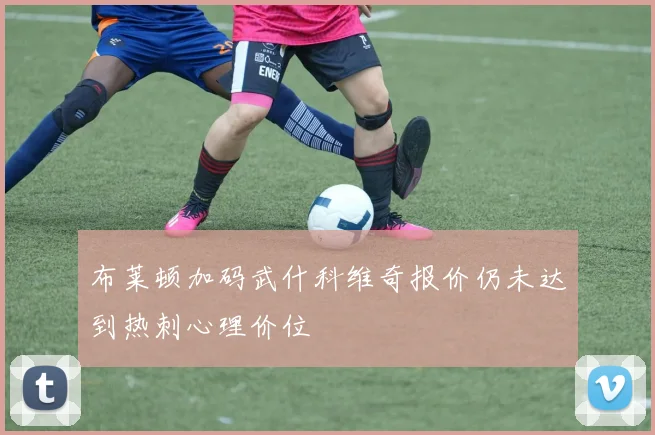 布莱顿加码武什科维奇报价仍未达到热刺心理价位